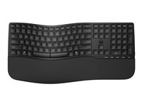 HP 685 - Tastatur - dual modus, 3-sone layout, flere enheter, 23 programmerbare taster, OS automatisk deteksjon, lav profil tastereeise - 100% - full size - trådløs - 2.4 GHz - svart - reklame 8T6L9UT