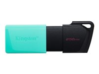 Kingston DataTraveler Exodia M - USB-flashstasjon - 256 GB - USB 3.2 Gen 1 DTXM/256GB