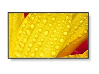 NEC MultiSync M431-2 - 43" Diagonalklasse (42.5" synlig) - M Series LED-bakgrunnsbelyst LCD-skjerm - intelligent skilting - med innebygd mediespiller / valgfri PC-funksjonalitet med spor - 4K UHD (2160p) 3840 x 2160 - HDR - direktebelyst LED - pantone 426M 60006083