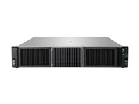 HPE ProLiant DL380 Gen11 - rackmonterbar Xeon Silver 4510 2.4 GHz - 64 GB - SSD 2 x 480 GB P83120-425