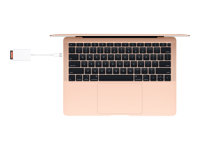 Apple USB-C to SD Card Reader - Kortleser (SD UHS-II) - USB-C MW653ZM/A