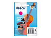 Epson 250XL - 8.9 ml - XL - magenta - original - blister - blekkpatron - for P/N: C11CL95402 C13T16P34010