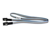 HPE Fanout Cable - SAS ekstern kabel - 4-spors - 36 pin 4x Mini SAS HD (SFF-8644) (hann) til 36 pin 4x Mini SAS HD (SFF-8644) (hann) - 4 m - for StorageWorks MSL2024; StoreEver MSL3040, MSL6480 P35175-B21