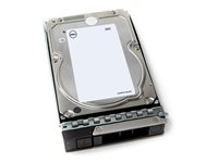 Dell - Customer Kit - harddisk - 24 TB - 512e, ISE - hot-swap - 3.5" - SAS 12Gb/s - 7200 rpm 161-BCNM