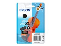 Epson 250XL - 10.2 ml - XL - svart - original - blister - blekkpatron - for P/N: C11CL95402 C13T16P14010