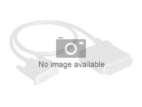 Intel OCuLink Cable Kit AXXCBL700CVCR - SAS intern kabel - 4i MiniLink SAS (SFF-8611) (hann) rett til 4i MiniLink SAS (SFF-8611) (hann) rettvinklet - 70 cm AXXCBL700CVCR